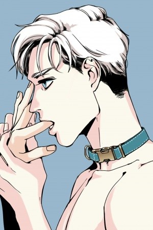 Un Lobo En Casa  (2017)