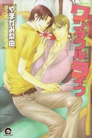 Wonderful Life  (2016)