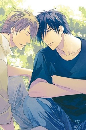 Yasashii Koi ga Sodatsu Made  (2017)