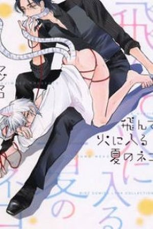 Tonde Hi ni Iru Natsu no Neko  (2017)