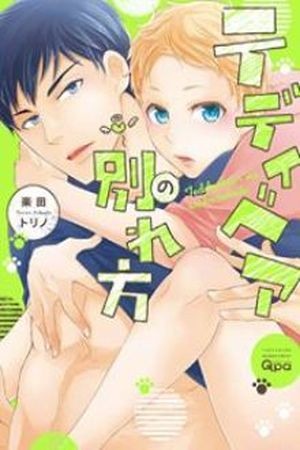 Teddy Bear no Wakarekata  (2016)