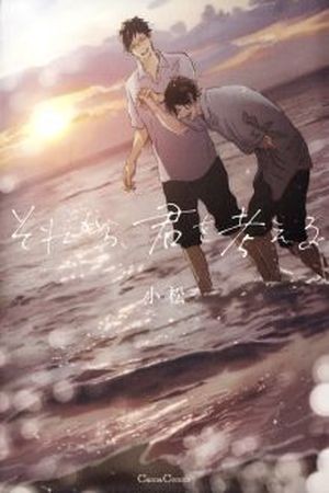 Sorekara, Kimi wo Kangaeru (Català)  (2013)