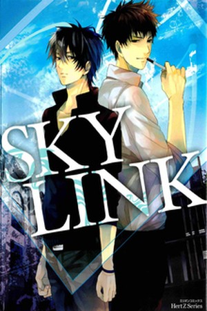 Sky Link  (2010)
