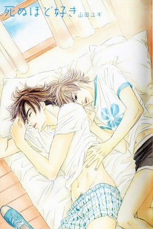 Shinu Hodo Suki  (2006)