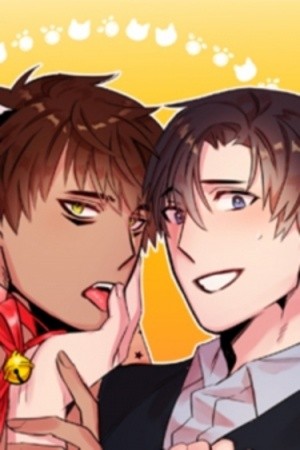 Señor Gato en una Caja de Carton  (2019)