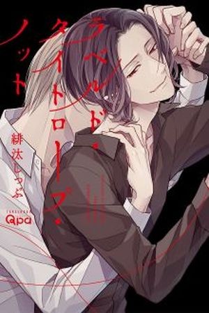 Raveled Tightrope Knot  (2016)