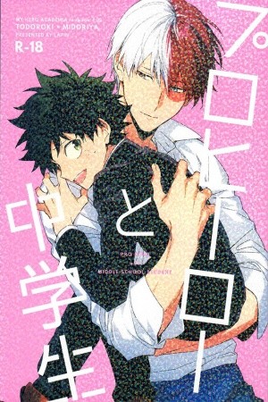 Pro Hero and Middle School Student  (2020)