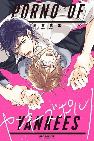 PORN OF YANKEES  (2017)