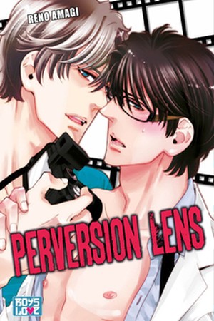 Perversion Lens  (2013)