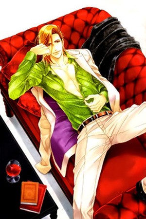 Perfect Kareshi  (2011)