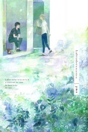 Labradorescence  (2015)