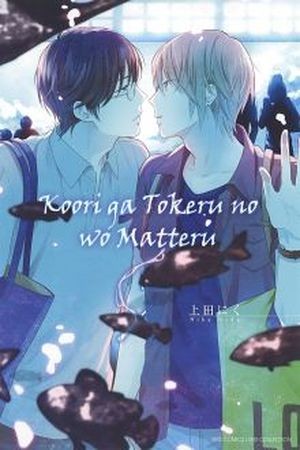 Koori ga Tokeru no Wo Matteru  (2017)