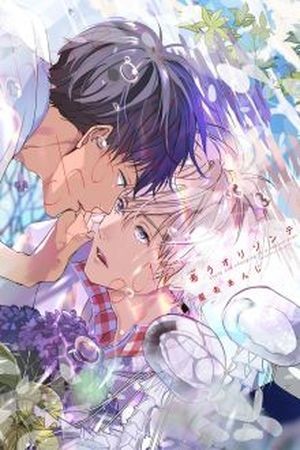 Koinegau Horizonte  (2017)