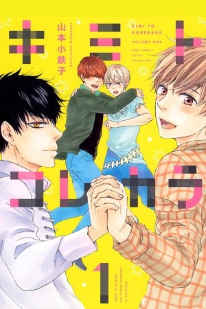 Kimi to kore kara  (2014)