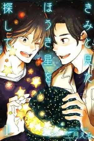 Kimi To Mita Houkiboshi O Sagashite  (2017)