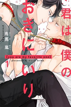 Kimi wa boku no okiniiri  (2019)