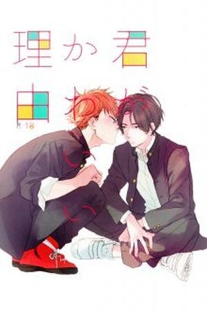 Kimi ga Kawaii Riyuu  (2016)