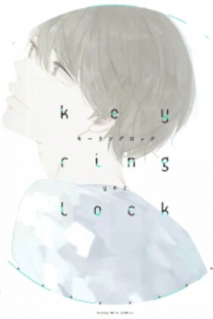 Keyring lock  (2016)