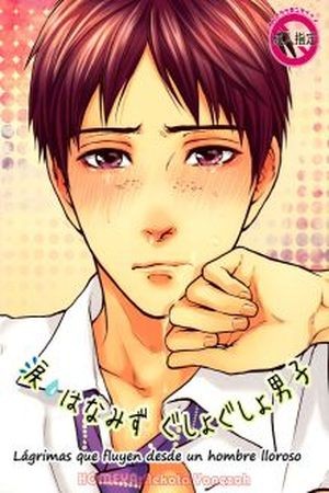 Namida Hanamizu Gusyogusyo Danshi  (2011)