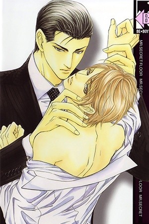 Mr.secret Floor~Ecos de un sagaz novelista~  (2010)