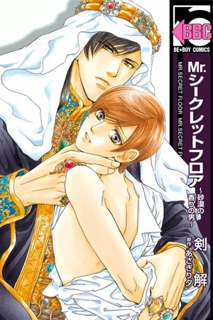 Mr. Secret Floor - Sabaku no Kaori no Otoko  (2012)