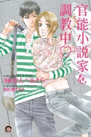 The pornography novelist is trained  (2020)