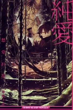 Junai (Novela)  (2013)