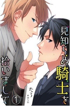 He recogido un extraño caballero  (2016)