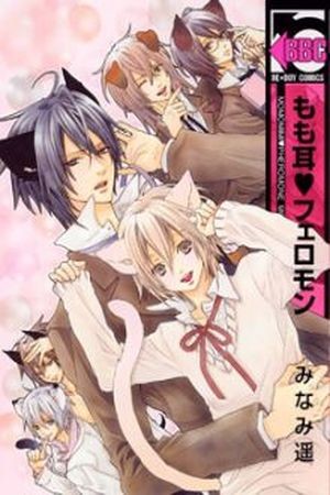 Momo Mimi Pheromone  (2013)