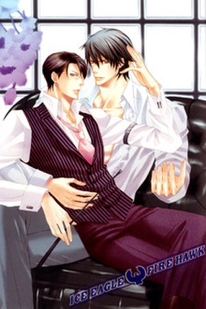 Ice Eagle Fire Hawk  (2007)