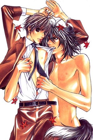 Inu mo Arukeba Fallin' Love  (2004)