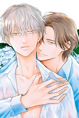 Hydrangea Cage  (2019)