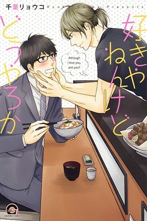 Sukiyanen Kedo Dou Yaro ka  (2013)