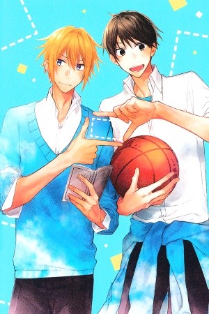 Hirano y Kagiura  (2019)