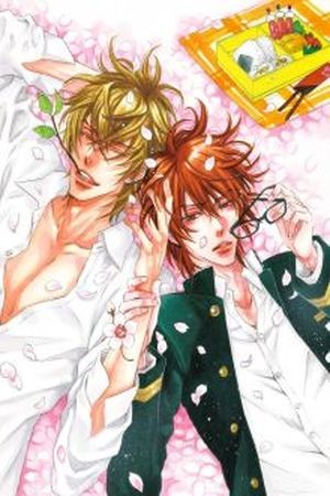 Himitsu Ja Nai Kedo  (2017)