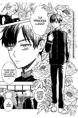 Himeno-kun wa Hime ni Naritakunai  (2019)