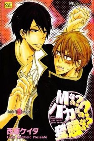 M nano? Baka nano? Hentai nano?  (2016)