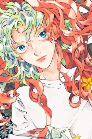 Logical orion  (2019)