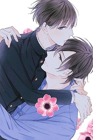 Gogatsu no Hana wa Mada Sakanai  (2017)