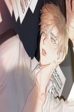 Complejo corporal  (2019)