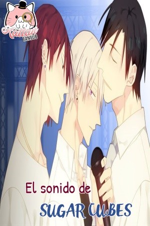 El sonido de sugar cubes  (2018)