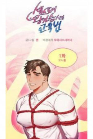 Sex Toys: How to Educate Big Chested Newcomers  (2021)