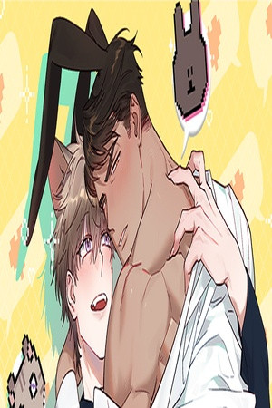 los conejos pueden correrse en 3 segundos  (2023)