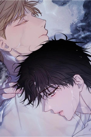 The coast of the Waves  (2024)