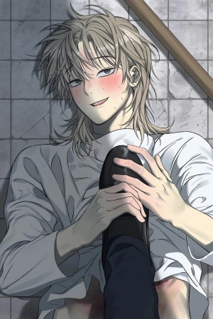 No hay devoluciones después de su uso  (2024)